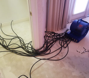 Water damage drying walls 2
